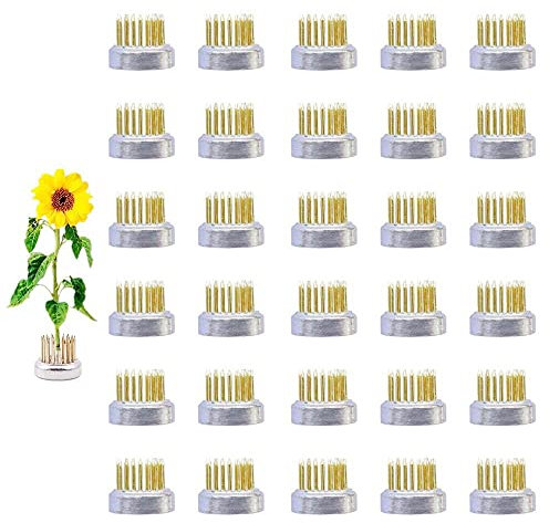 Mini-Frosch, Kenzan, japanischer Ikebana-Blumenfrosch, 23 mm Durchmesser, für kleine Vasen, 30 Stück