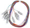 Cable Pigtail de Fibra Multimodo 12, SC o UPC 62.5 o 125 con Carcasa de PVC, Buena Repetibilidad y Alta Estabilidad, Gran Compatibilidad, Plug and Play, Núcleos Cerámicos