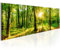 B&D XXL Acrylglasbild Wald 135x45 cm 1 Teilig Wandbild auf Acryl Glasbilder Kunstdruck Moderne Acrylglas Platte Wanddekoration Geschenke Heimdekoration Glasbild Landschaft Natur Panorama Baum