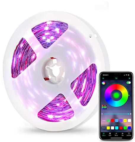 AMIR LED Strip 5M, LED Streifen mit Fernbedienung und App-steuerung, Sync mit Musik, Timer-Einstellung, Beleuchtung LED Band für TV, Haus, Schlafzimmer Deko