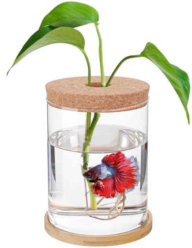 Betta Aquarium – Mini-Schalen für Beta-Fische, Aquaponisches Aquarium, transparentes Hydrokultur-Pflanzenterrarium für geförderte Ökosphäre, aquatisches Ökosystem – 17 cm H x 11,9 cm T