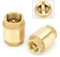 BgnEhRfL Messing-Rohrverschraubungen 1pc NPT Messing Rückschlagventil Innengewinde Inline-Feder for Wasserkontrolle(1.25 Inch)