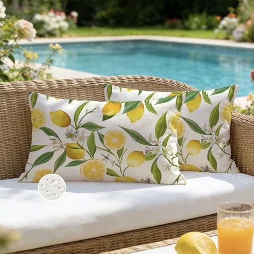 ViaElayu Outdoor Kissenbezug 30x50 cm Gelb Zitronen Kissenhüllen Outdoor Kissen Wetterfest Sofakissen Dekokissen Gartenkissen Couchkissen Frühling Sommer Deko für Wohnzimmer Bank Terrasse 2er Set
