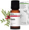 Aroma Labs - Lentisque Pistachier BIO - Huile Essentielle Chémotypée et Certifiée AB - 10 mL