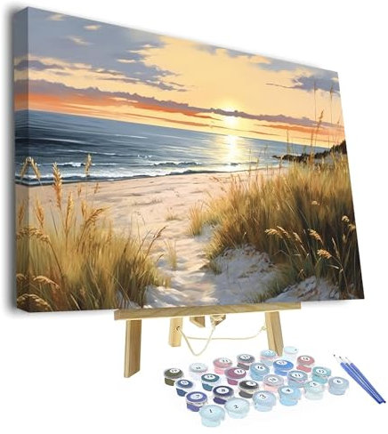 TISHIRON Gemälde von Hand Malen nach Zahlen Erwachsene Malsets für Erwachsene mit Pinseln Sonnenuntergang am Meer Malen nach Zahlen auf Leinwand Acryl Pigment Kunsthandwerk 16x20inch mit Rahmen