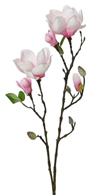 Decoris Künstlicher Magnolienzweig 76x15x11cm - Kunstzweig Magnolienblüten - Magnolie Blütenzweig Dekozweige - Kunstblumen Deko Zweig - Hochzeitsdeko Frühlingsdeko Osterdeko - Weiß Rosa Grün