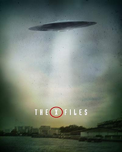 The X-Files Poster 30 x 40 cm