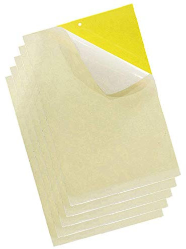 Moucherolle Double Face de 20 Paquets (25cmX20cm), Vivaneau, Les Pucerons, Mineur, Mites Et Moisissures Piège Collant Jaune