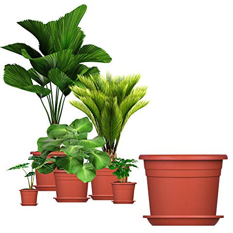 BigDean 5X Blumentopf Ø 30 cm Farbe Terrakotta & Untersetzer Kunststoff Pflanztopf Containertopf Übertopf Pflanzkübel rund 30 x 21 cm Blumentöpfe