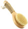 minkissy 1pieza Cepillo De Ducha Antideslizante Para Baño Cepillo Exfoliante Corporal Con Mango Corto De Madera Accesorio De Baño Para Limpieza Suave Y Masaje De Piel
