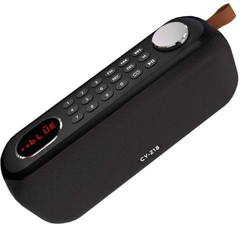 Portable Bluetooth Speaker FM Radio Digital, Support USB/SD Card MP3 Music Player/AUX/REC, Build-in 3000mAh Rechargeable Battery, 10W Powerful Speaker and Earphone Jack for Indoor Outdoor