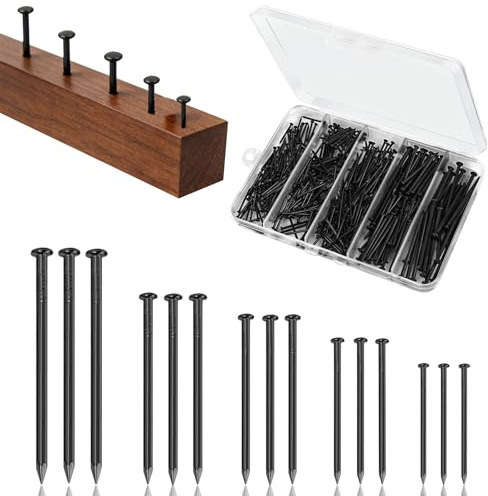 Stahlnägel Set, 400 Stück Schwarz Nägel Bilder Aufhängen, Hardware Nagel Sortiment Kit Kleine Nägel Nails Set für Haushalt DIY Wandnägel Holznägel Finishing Nägel (5 Größen)