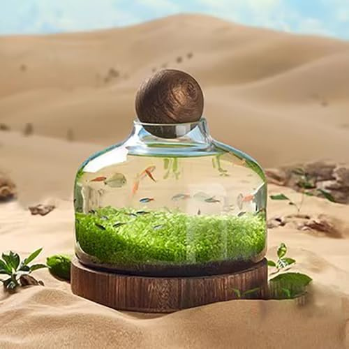 TT-YEC Glasaquarium, Miniatur-Landschaftsterrarium, Glasaquarium Mit Holzsockel, Modernes Betta-Aquarium, Kleines Aquarium Für Heim- Und Bürodekoration,XL