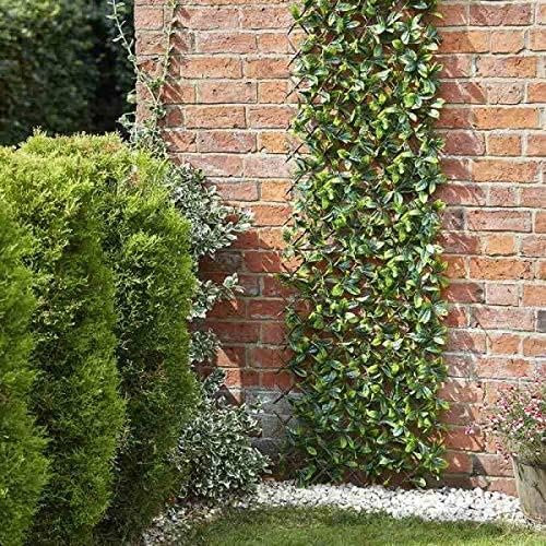 Garden Mile Lemon Leaf Screening Panel Fence Privacy Screen for Garden Artificial Trellis Living Wall Panel Realistic Expandable Trellis Privacy Fence Screening for Indoor or Outdoor 180x60 cm