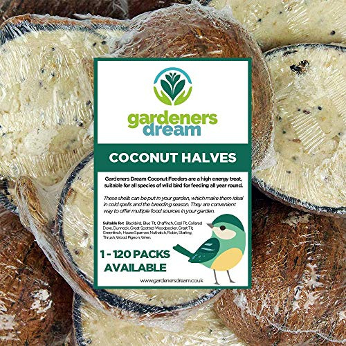 Noix de Coco fourrées GardenersDream - Graisse pour Oiseaux Sauvages