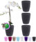 Santino Lot de 4 pots à orchidée à arrosage automatique avec système de mèche et indicateur de niveau d'eau pour l'intérieur Diamètre 16,5 cm Anthracite - 3,3 l)