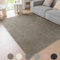 Ceneco Teppich Taupe Kurzflor, Waschbare Teppiche Wohnzimmer,Moderne Weiche Teppiche für Schlafzimmer, rutschfeste Teppich für Küche, Büro, Lounge (Taupe, 80×150cm)