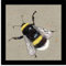 Artko Louise Luton Gerahmter Kunstdruck, Motiv: Mr Bumbles the Bumblebee von Louise Luton, klein, mit schwarzem Rahmen