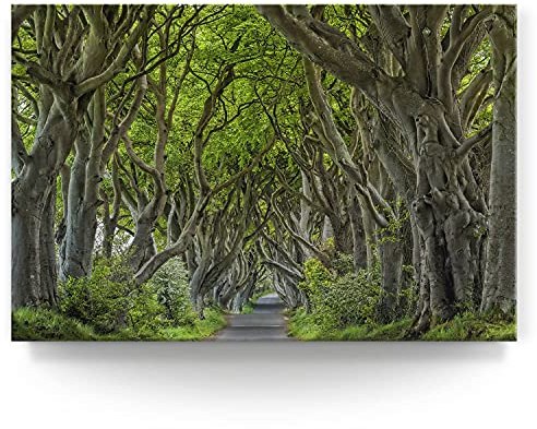 BilderKing Wandbild Buchenallee Dark Hedges, Irland - 150cm x 100cm Leinwand auf 4cm Keilrahmen