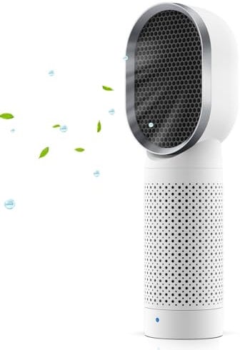 QUEENTY Small Air Purifier, Air Purifier for Home With H13 HEPA Filter,Ionizer,Face to Face Outlet and Oscillating Air Blowing to Help You Breathing Fresh Air and Negative Ion in Office, for Bedroom