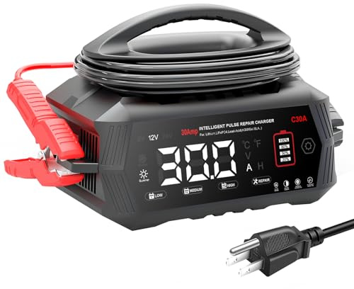 YHCHKJ Battery Charger 30Amp,12V/24V Lithium,LiFePO4,Lead Acid,Fully-Automatic Smart Car Battery Charger,Trickle Charger,