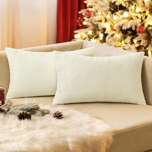 EMEMA Kordsamt Kissenbezug Dekorative Granulat Sofakissen Dekokissen Kissenbezüge Kissenhülle Couchkissen Überwurf Kissen Bezug Zierkissen für Couch Sofa Wohnzimmer 2er Set 30x50 cm Beige