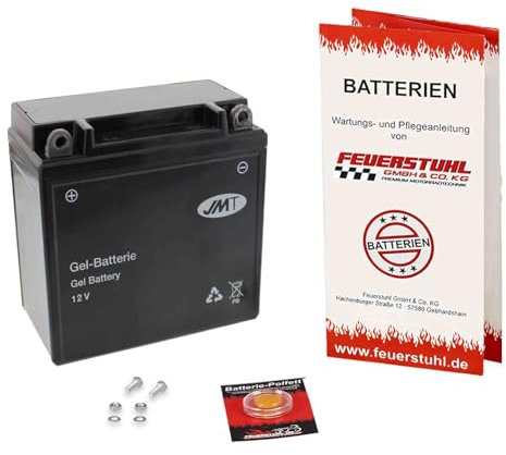 Gel Batterie für Piaggio TPH 125 Typhoon 2T, 1995-1999, wartungsfrei, einbaufertig (inkl. 7,50€ Pfand)