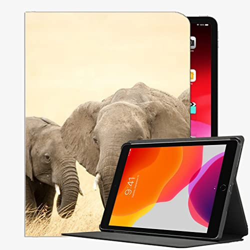 Für iPad Pro 12,9 cl Intrain