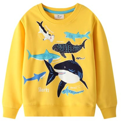 LitBud Pull Garçon Vêtements pour Garçons Enfants Sweatshirt Sportswear Licorne Jumper Pullover Atomne Hiver Taille 1-7 Ans