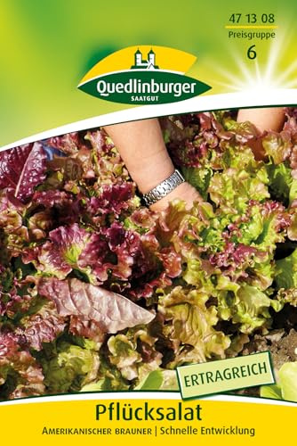 Quedlinburger 471308 Pflücksalat Amerikanischer brauner (30 g) (Pflücksalatsamen)