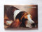 Schöning Magnet Hund, Ich träume von Dir!, 8 x 5,5 cm, Kühlschrankmagnet Tiere Hunde