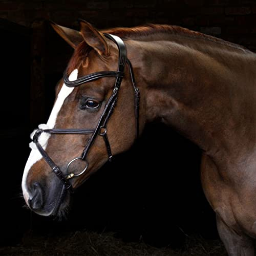 Harry Hall. Cottage Craft Grackle Bridle | Anatomical Horse Bridles | Grackle Noseband For Pony Cob Full Extra Full | Leather Tack