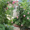Gartenbogen für Kletterrosen, Metall-Archi-Bogen für romantische Rosen, Hochzeitsbogen, Pavillons, Breite 80–350 cm, langlebig