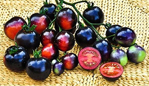 TOMATE INDIGO ROSE COLLECTION / 20 SEEDS