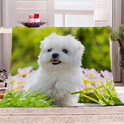 3D Gedruckt Flanelldecke Flauschige Maltesisch Kuscheldecke mit Muster 150x200 cm Weiche Warme Microfaser Decke Erwachsene Tierischer Hund Wohndecke für TV Sofa Couch Bett Blanket Tagesdecke