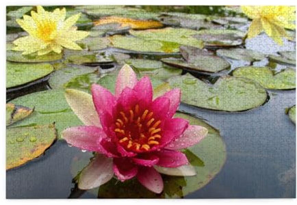 Lotus Flower Print Jigsaw Puzzle 1000 Pieces Wooden Puzzle Gifts For Adult Family Wedding Graduation Gift Vertical Version