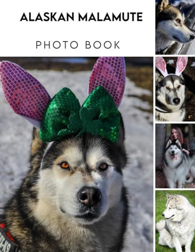 Alaskan Malamute Photography Book: An 2024 Animals Photography Book Colorful Pages With Wonderful Photoshoot For All Ages Relaxation And Stress Relief ... Birthday, Christmas Gifts Idea For All Ages