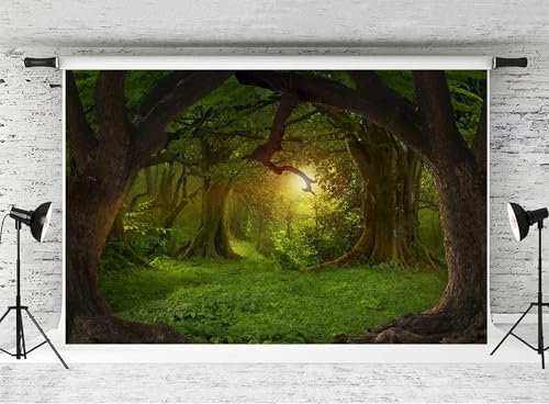 APROPHIC The Forest Fotohintergrund, Natur Wald Landschaft Hintergrund Fotografie, Im Freien Wald Banner Dekoration Hintergründe für Fotostudios 210 x 150 cm