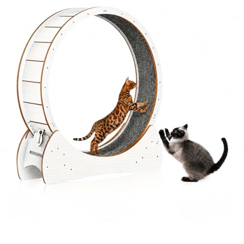 Naviconvex Großes Laufrad für Katzen Hunde, XL-Größe – Indoor Holz-Laufrolle, sicher bequem, beugt Übergewicht bei Katzen