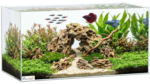PawHut 51L Fish Tank with Protective Base Mat, Transparent, 60 x 30 x 30 cm