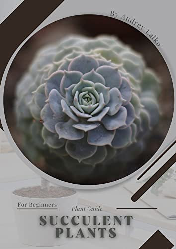 Succulent Plants: Plant Guide