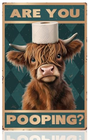 DOODLREAM Are You Pooping Tin Sign, Funny Highland Cow Bathroom Wall Decor | 30 x 20 cm Retro Metal Plaque, Are You Pooping Bathroom Sign, Highland Cow Waterproof Art Decor for Home Wall Decoration Gift