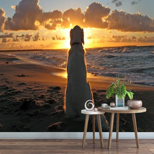 Wall Mural Dog Photo Wallpaper Beach Sunset Waterproof Removable Pictures for Livingroom Bedroom Wall Home Decor 826x589cm