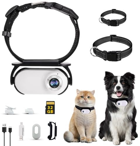 GHWMYD 32G Weiße Katzen Kamera Halsband Haustierkamera mit Kameraklemmen für Hunde und Katzen