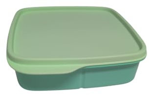 Tupperware to Go Lunchbox clevere Pause 550 ml Brotdose mit Trennwand Eco+ Schule (pastell grün 550ml)