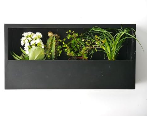 Casaflora Wand-Pflanzkasten Linea, schwarz - jetzt reduziert 40x20x9