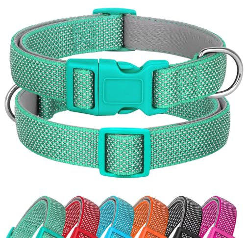 Didog Reflektierendes Hundehalsband mit Schnalle, verstellbar, weiches Neopren, gepolstert, Nylon, Haustierhalsbänder für kleine, mittelgroße und große Hunde, Grün, L