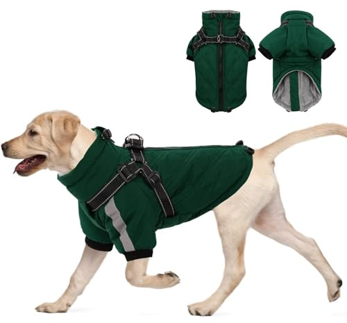 CITÉTOILE Warmer Hundejacke mit Geschirr, Winddichte Hundemantel für Kaltes Wetter, Hundebekleidung mit Reißverschlüssen und Lockeren Bündchen für Hunde, Grün, L