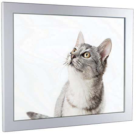 myposterframe Komfort Juno 61 x 91,5 cm Rahmen Weiß