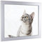 myposterframe Komfort Juno 61 x 91,5 cm Rahmen Weiß